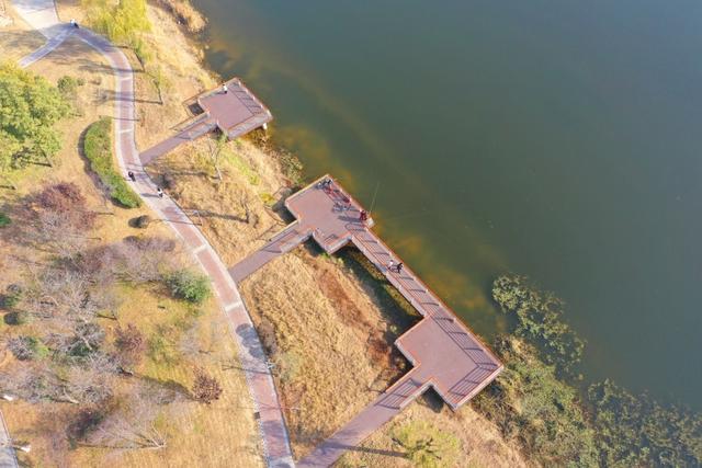 新聊新景丨徒骇河观景平台：亲水漫步 乐享惬意生活