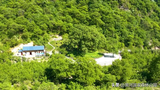 周末避暑好去处|走进绿意森呼吸,邂逅山间清凉