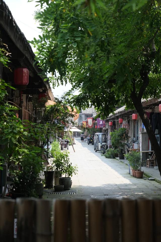双流这8家秘境小院，来了根本不想走