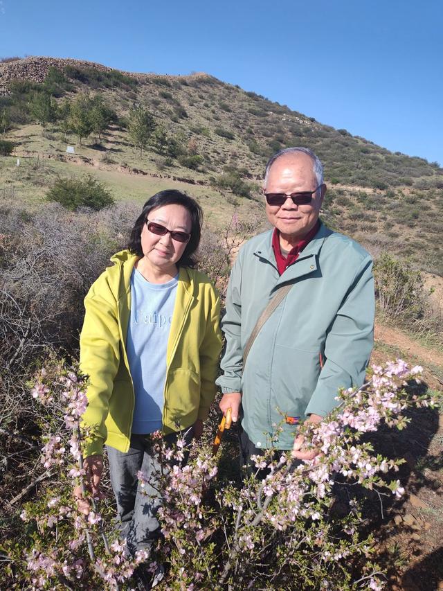 宣化红一师战友军嫂青边口长城赏花照片集