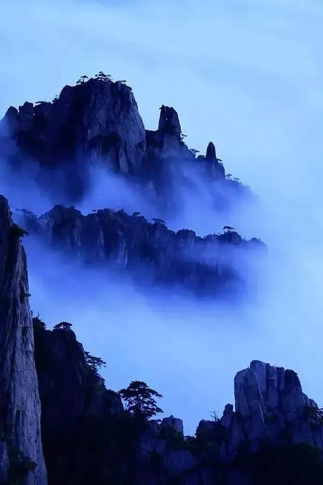 手机壁纸精美图片（99）