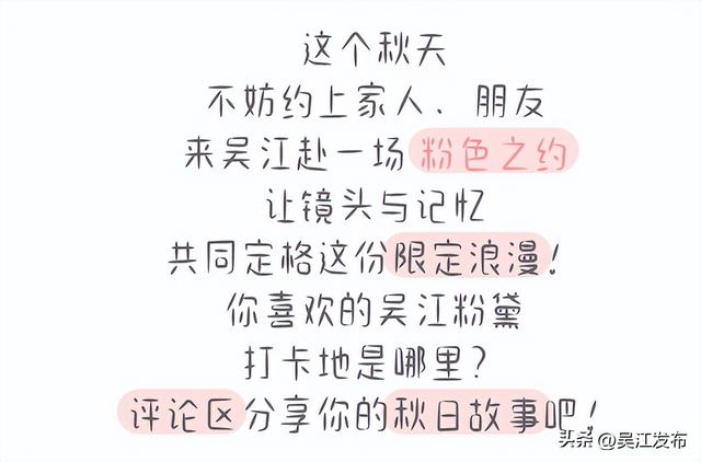 周末去打卡丨在吴江，赴一场粉色之约！
