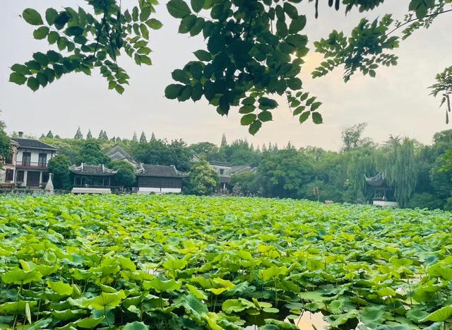 湖州古镇很世俗，也很江南