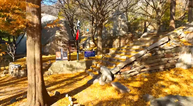 探平度：平度这里迎来最佳观赏期