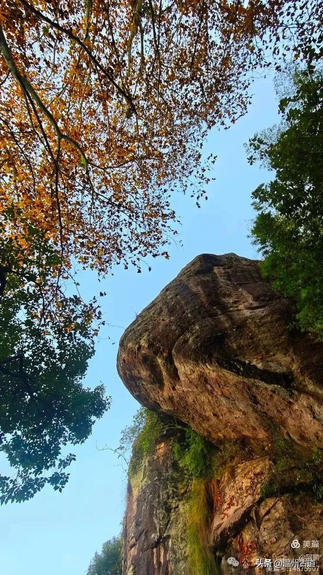 浙处丹霞地貌秋色斑斓超壮观,秋日必打卡之地!