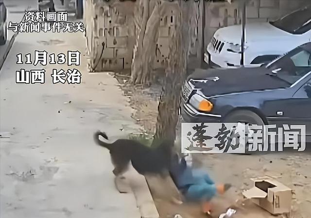 山西狗咬人血案再曝细节：剔骨刀上无死者DNA，真相更扑朔迷离