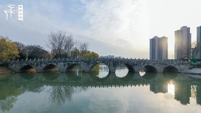 南京地铁5号线隐藏玩法！你绝对不知道，它藏着一条“生态盲盒”路线
