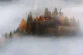 抑郁兼躁狂，就是“寒包火”，寒不去，就会复发！图片