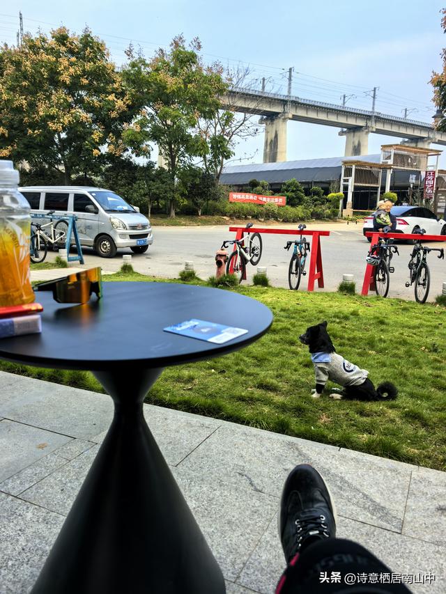 东湖绿道东西大环线五十公里畅快骑行！