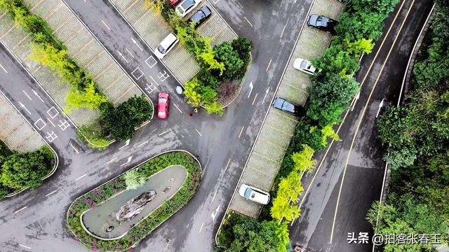 记四川雅安碧峰景色