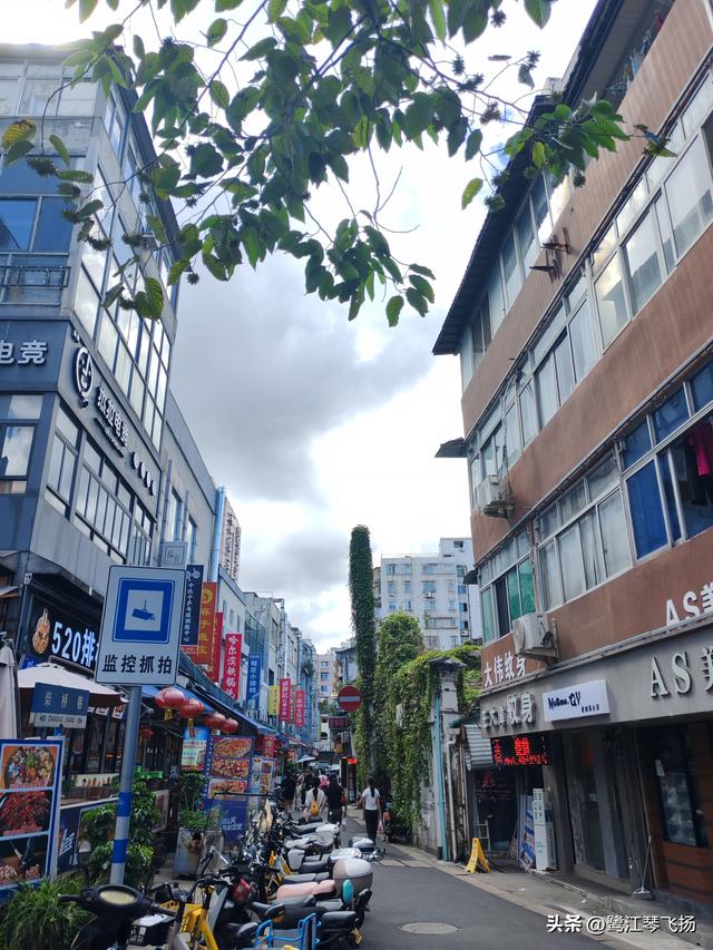 2025国庆第四天游温州：五马街沙帽河街区（半日）