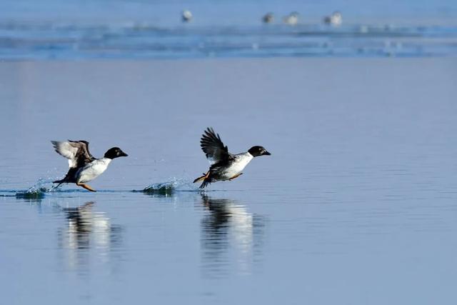 打卡“太行天池”！邂逅“长治IP”四季美景