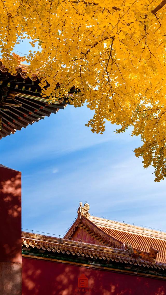 故宫四季美景一览，震撼高清美图预警！