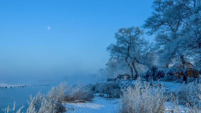 强烈建议！1 月一定要去一次雾凇岛！不愧是中国必看雾凇之一！