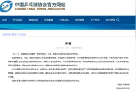 乒球名将宣布退出世界排名：权益冲突亟待破局|荔枝时评图片