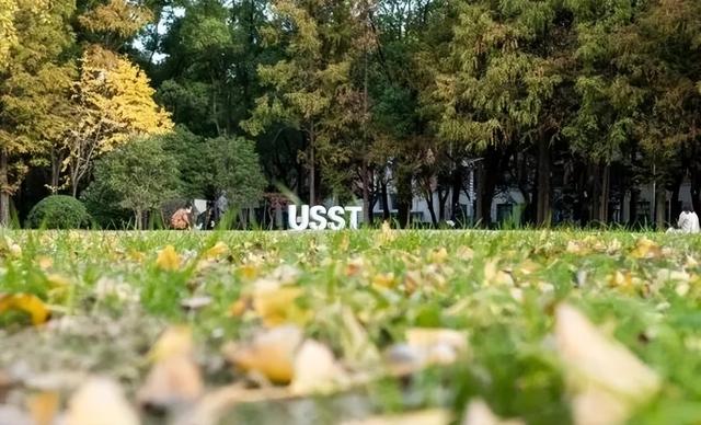 戴刀：沪江的风