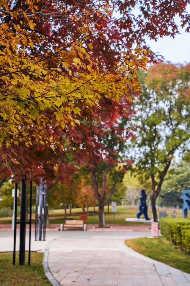 收藏一个秋天，石景山绝美秋色大公开