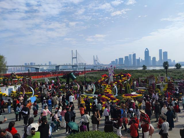 人从众菊花展VS男厕被沦陷