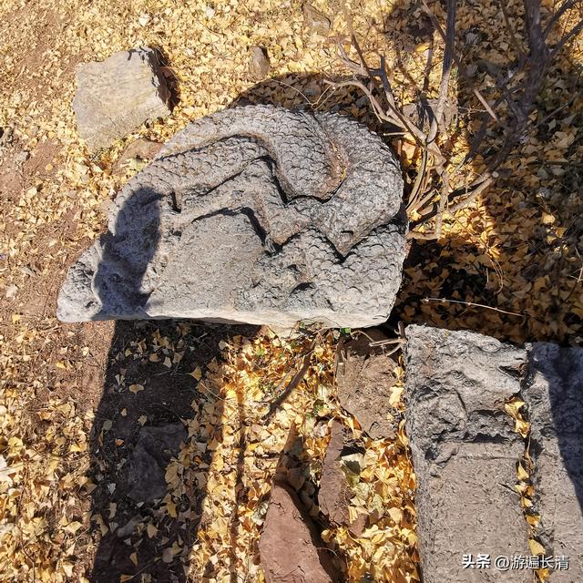 &066.探路北道沟（上）