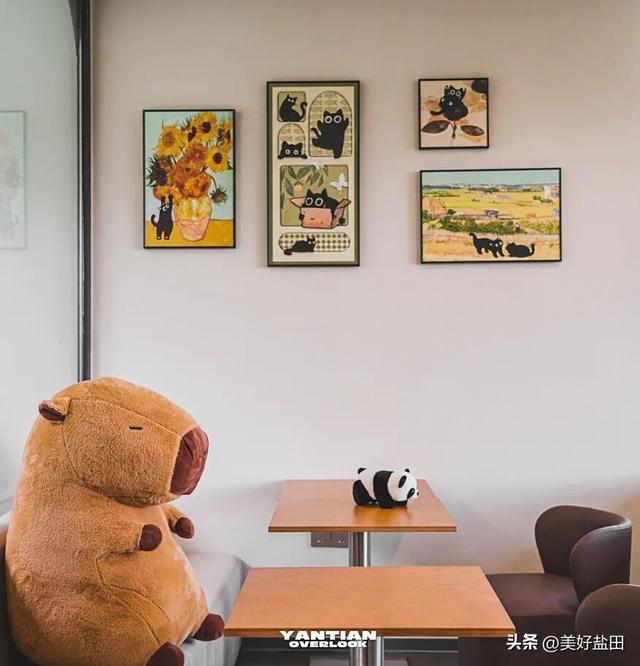星期五，盐田上新啦 | 登山、观海、品咖、撸猫，真的太松弛了吧……