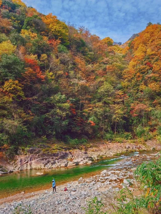听劝！别再去光雾山米仓山人挤人，红叶没有啦！