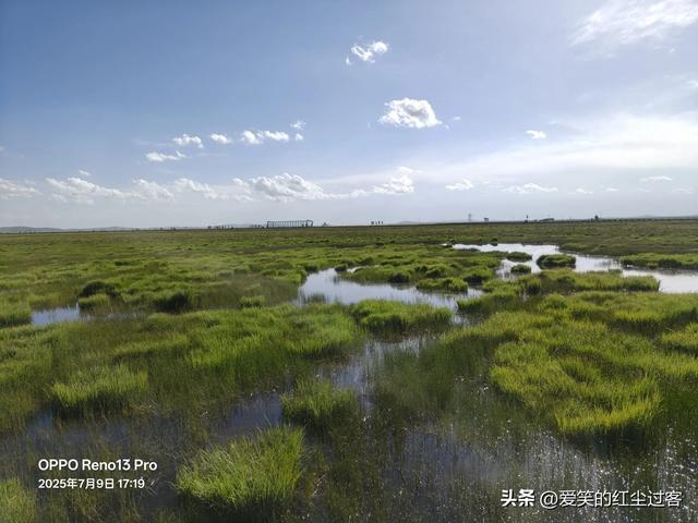 我的旅行日记——来到若尔盖花湖，不见漫天的花海