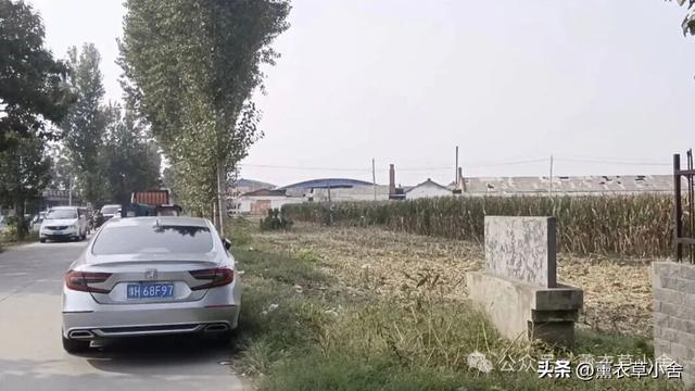 温县古墓藏惊喜，一家子竟都是朝廷高官