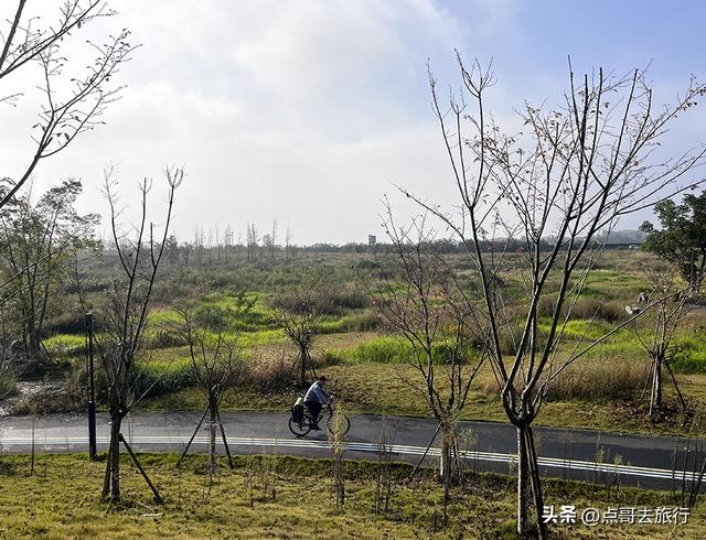 成都被冷落的彩林公园，惊艳无比，不要门票，地铁公交车直达！