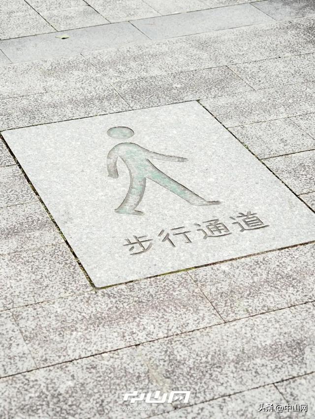 太出片啦！中山焦糖色「落羽杉」上线