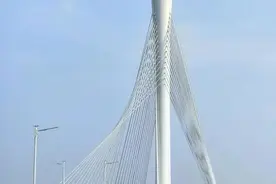 石家庄城市蝶变——路网优化提升 通天大道宽又阔图片