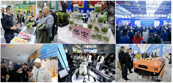 科学传播中国行走进杨凌助力农业新质生产力发展交流活动成功举办