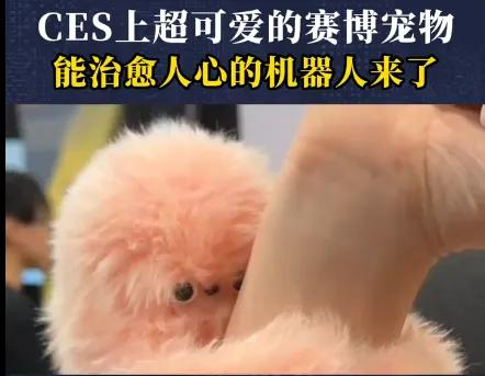 有钢铁硬汉，也有可爱萌宠，现在的机器人真的太全面了！