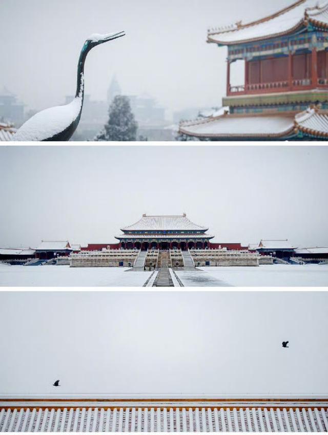 北京初雪	，紫禁城美到词穷！每一帧都是千年故事感