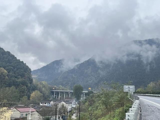 立冬 | 冬临秋未散，邂逅天水高速的鎏金画卷