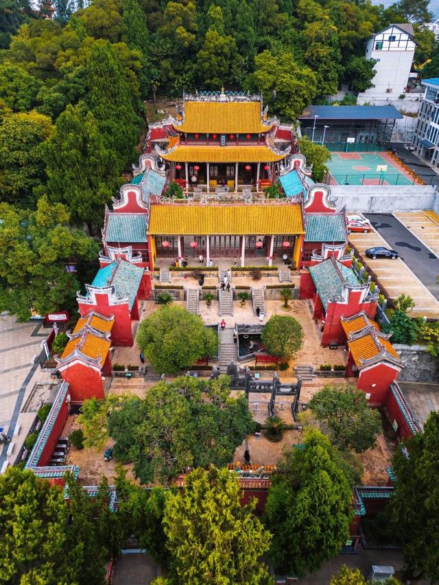 最佳观赏期!冬天来广西,指定有好“柿”!(附最新实拍图)