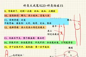 倪海厦讲针灸27-针灸治症15图片