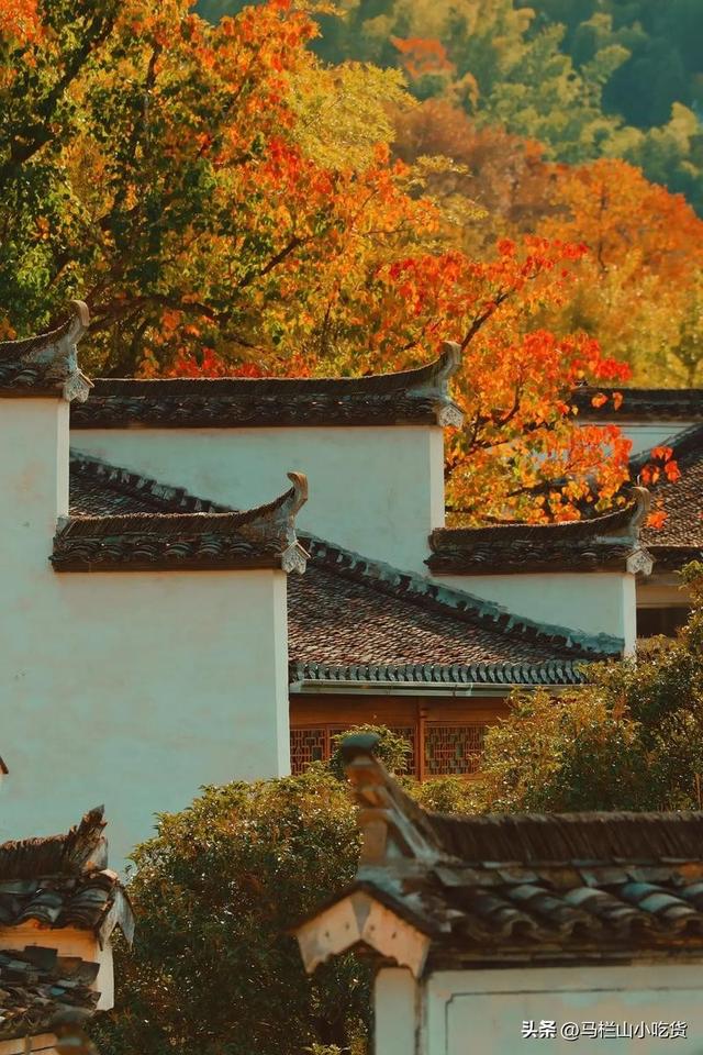 秋游，就来安徽皖南打卡 | 赴一场山水与古村之约！