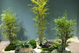 竹子造景，让庭院更有韵味，40个款式随便挑图片