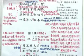 四年级语文下册，第七单元学习笔记，收藏预习复习！图片