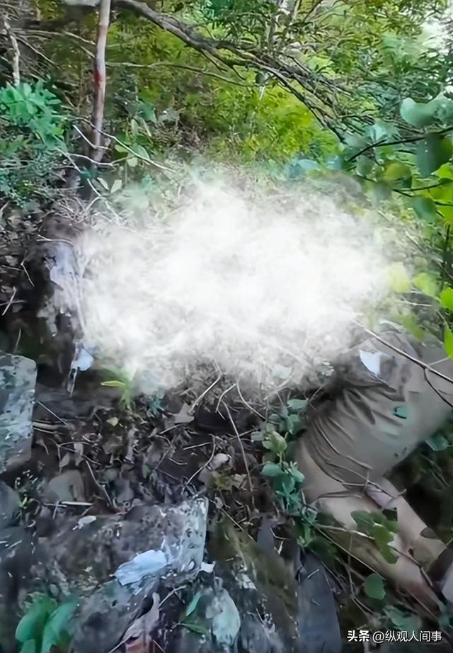 小伙旅游遇尸体，正讨论如何搬运，一德国父亲出现：见过我儿子吗