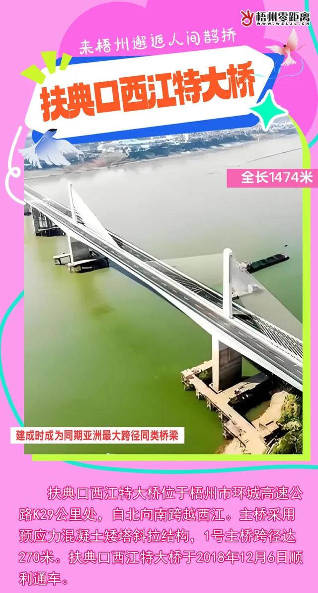 七夕，来梧州邂逅人间鹊桥