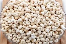 【科普】川贝母、平贝母分不清？一文教会你！图片