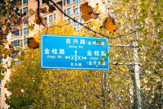 轨道直达！重庆“顶流”梧桐大道已经美到next level了！