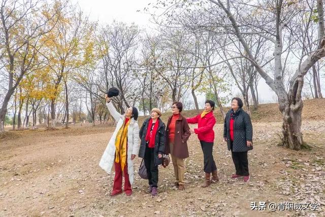 盘龙悠远银杏黄 水中学友情谊长