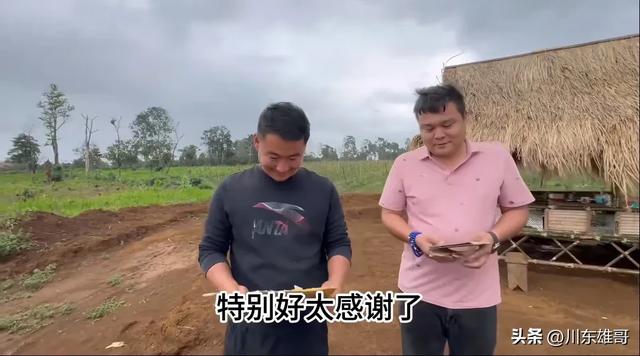 小依的咖啡园，即将迎来翻天覆地的变化。