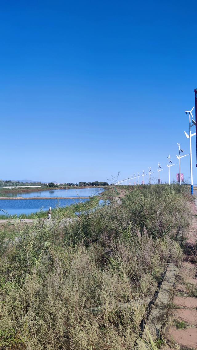 包头天下黄河第一村，靠着黄河边，风景还是不错的