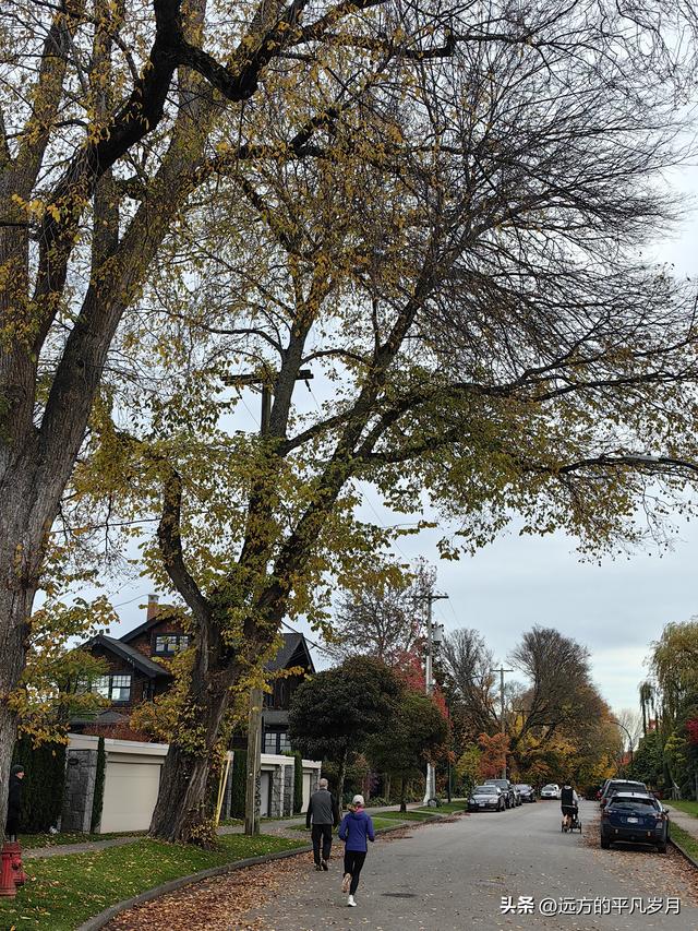 温哥华游记（五）