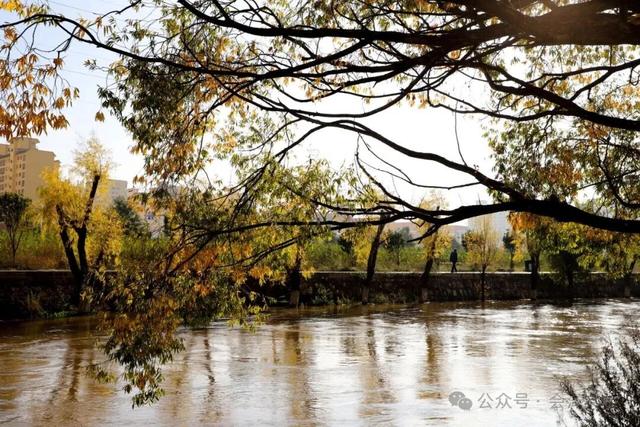 以礼初冬，树染波心山街色 蒋加祥/图