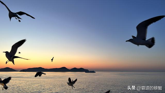 有些风景，需要独自品味