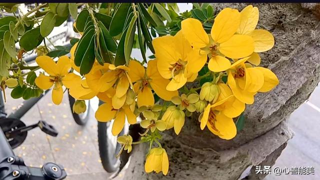 我这么爱你，你也爱我吗